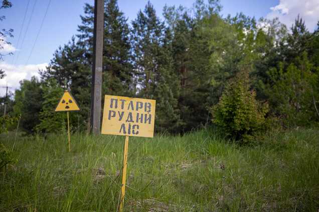 Горит 20 га лесной подстилки: в Чернобыльской зоне вспыхнул пожар, задействованы спасатели