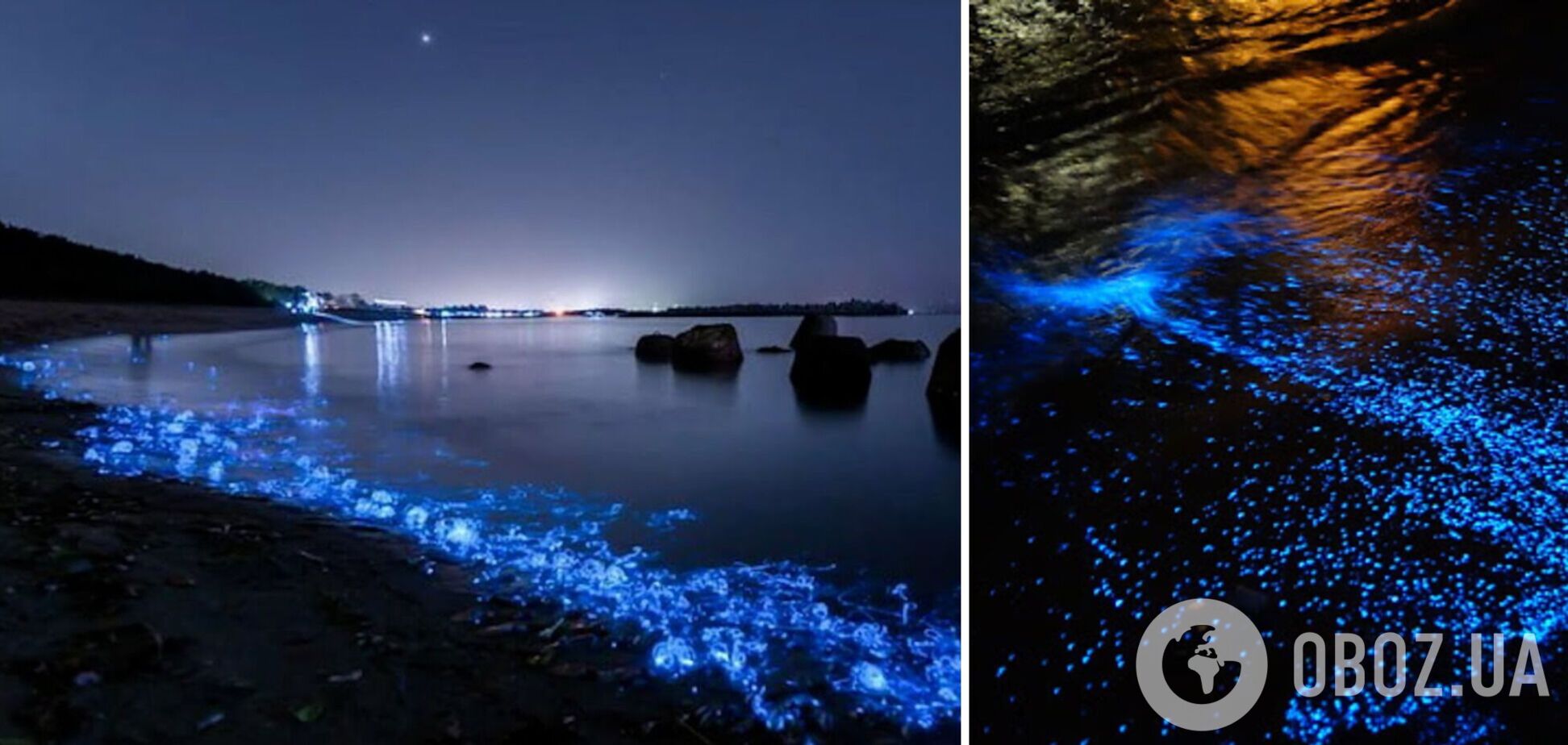 В Одессе море засветилось ярко-голубыми красками: в чем причина уникального природного явления. Видео