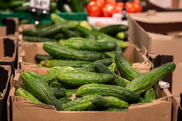 Вартість огірки в Україні знизилась