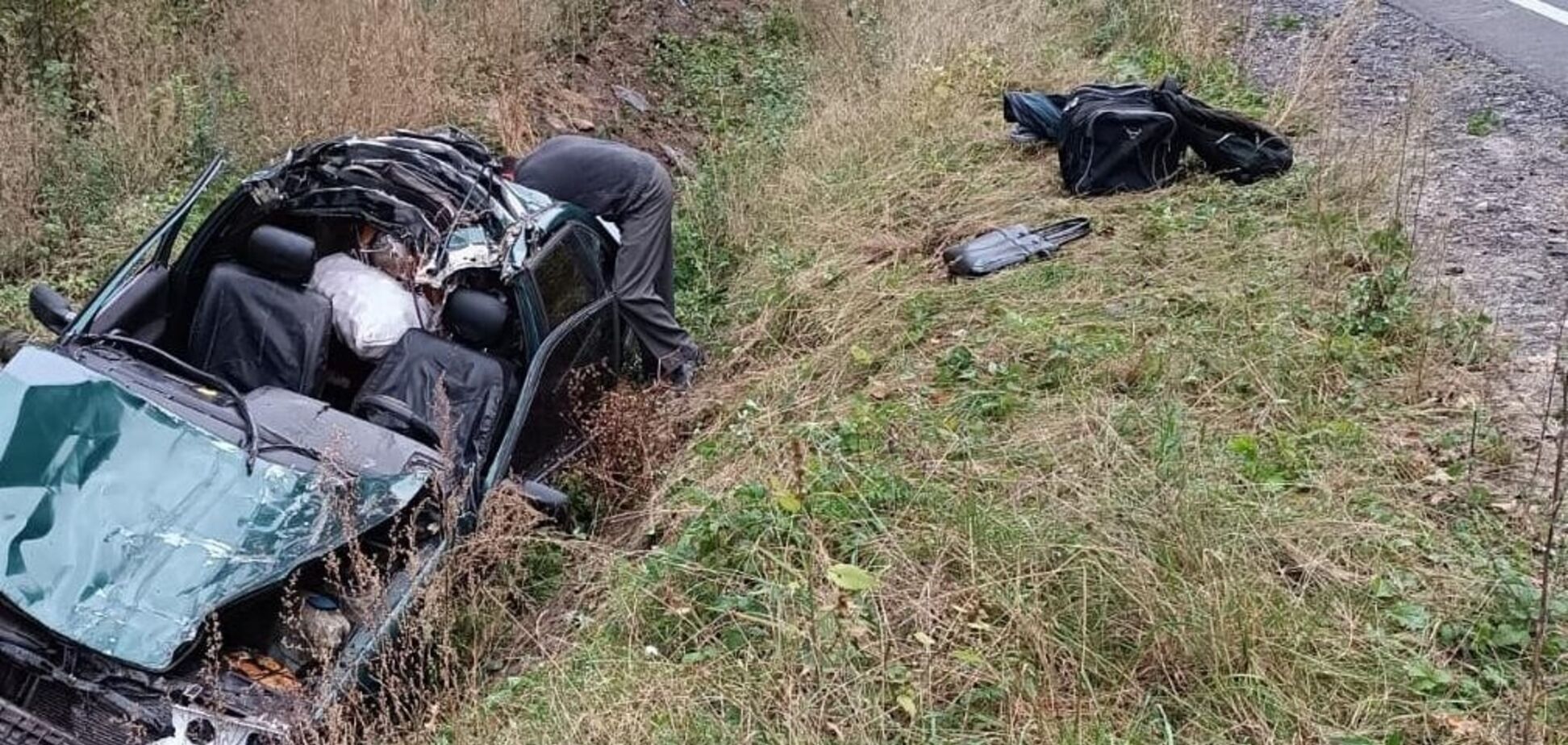 На Львівщині в ДТП через корову загинув водій авто