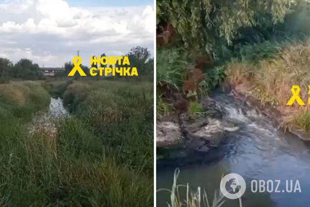 Окупанти в Луганську зливають відходи з м'ясокомбінату прямо в річку: мешканці скаржаться на жахливий сморід. Відео 