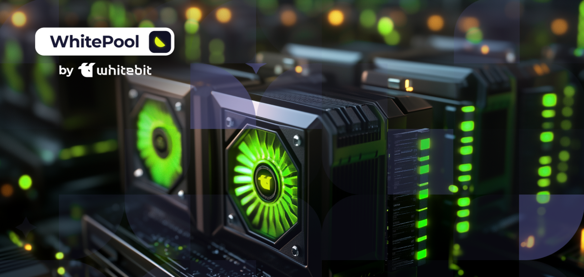 Користувачі отримають VIP-статус у WhitePool та 100% знижку на комісію