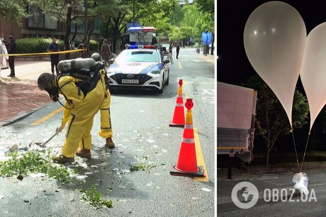 Близько 190 повітряних куль з відходами: КНДР знову закидала Південну Корею сміттям. Фото