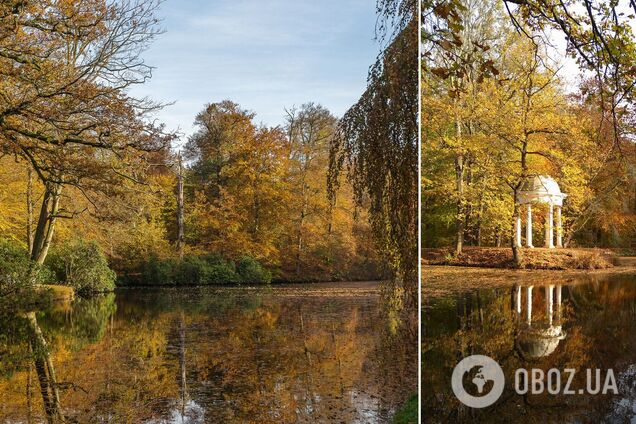 Топ дендропарків України: куди відправитися на вихідні