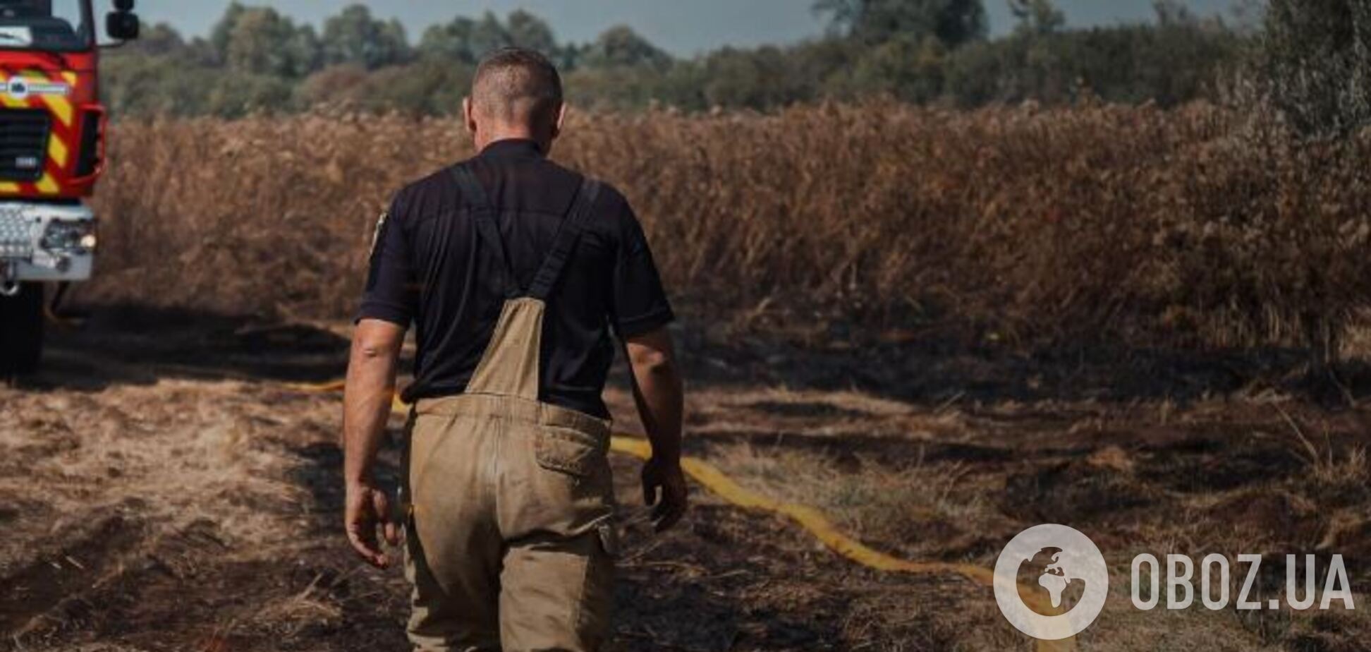 'Катастрофа для природы': спасатели озабочены большим количеством пожаров в экосистемах Киева
