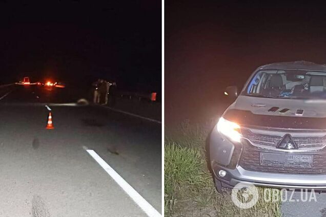 Аварія сталася через кабана, друзі не можуть повірити у втрату: нові деталі ДТП, в якій загинув радник голови Мінстратегпрому з дружиною