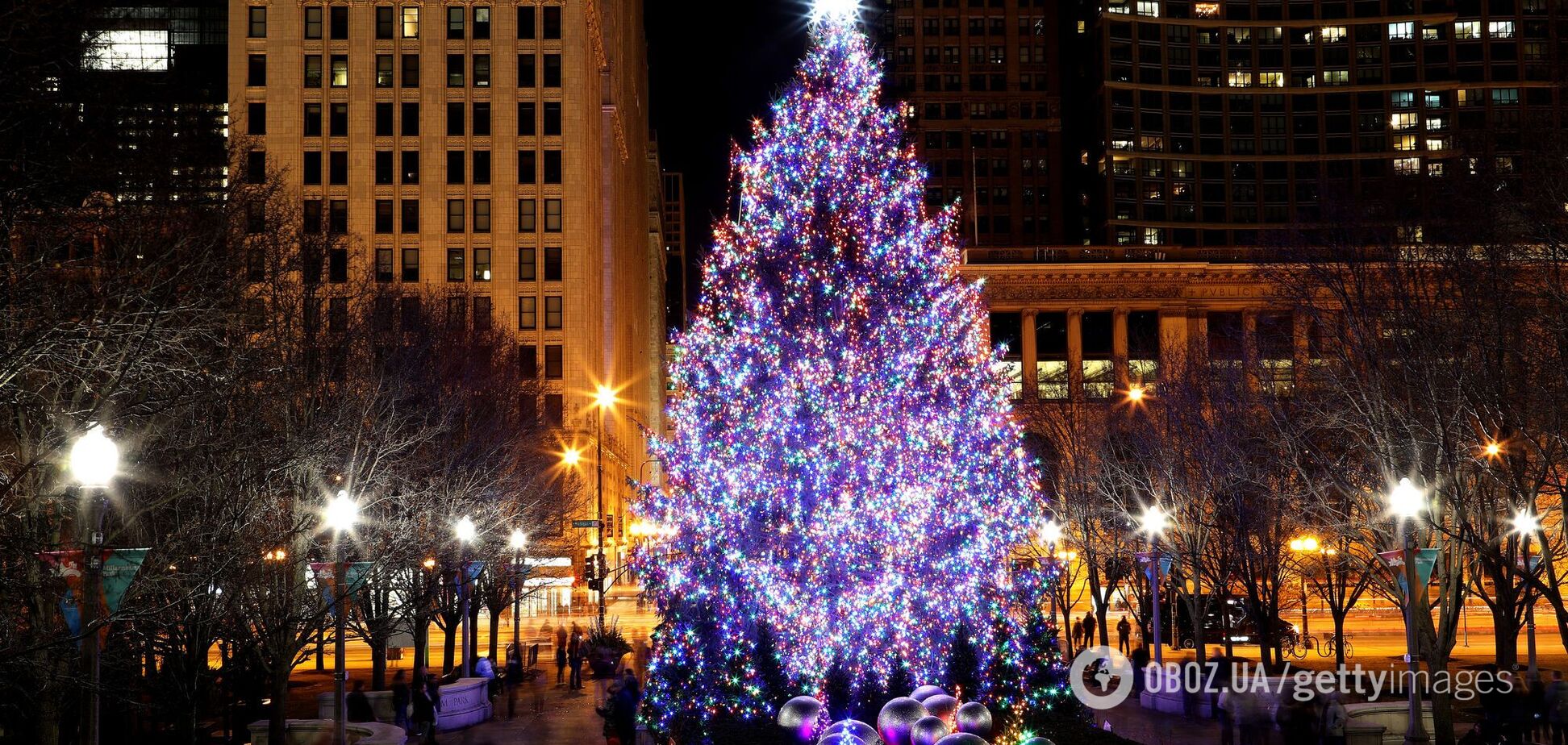 Ученые из Швеции объяснили уникальную суперсилу рождественских елок