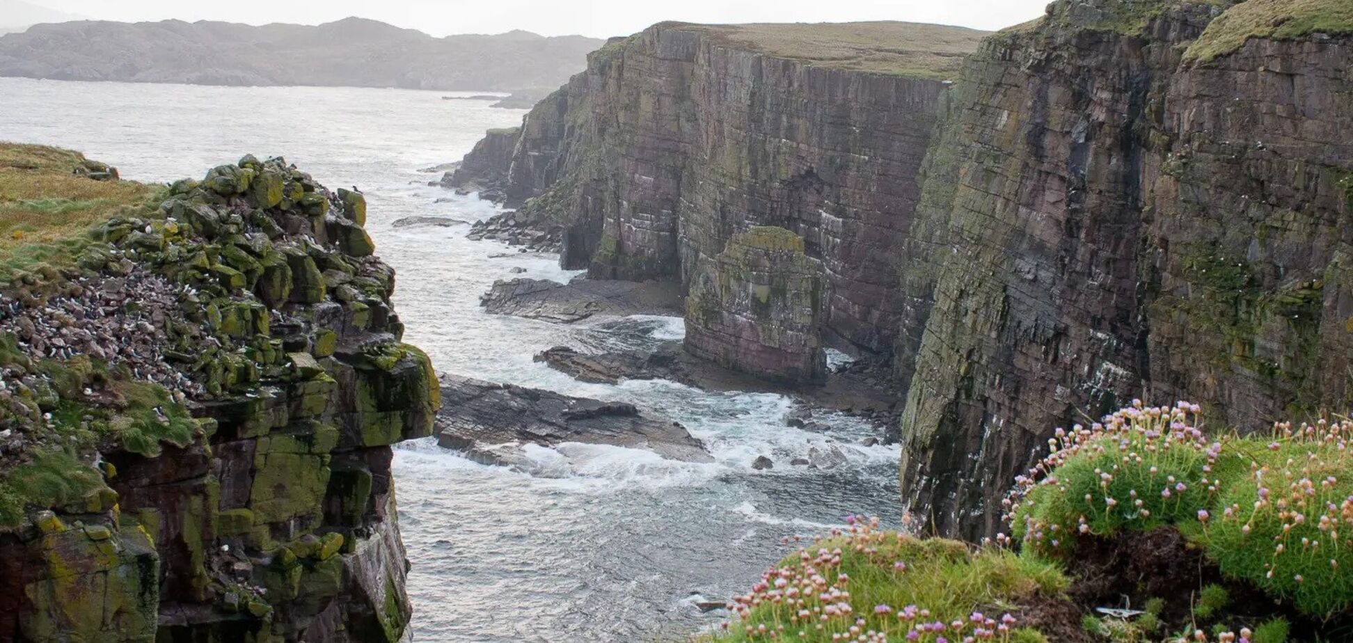 Какую работу предлагают