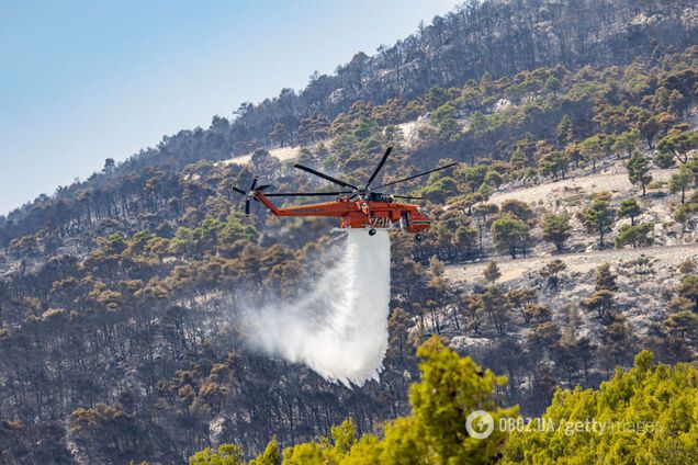 2024 стал самым жарким годом за всю историю наблюдений: побито несколько климатических рекордов