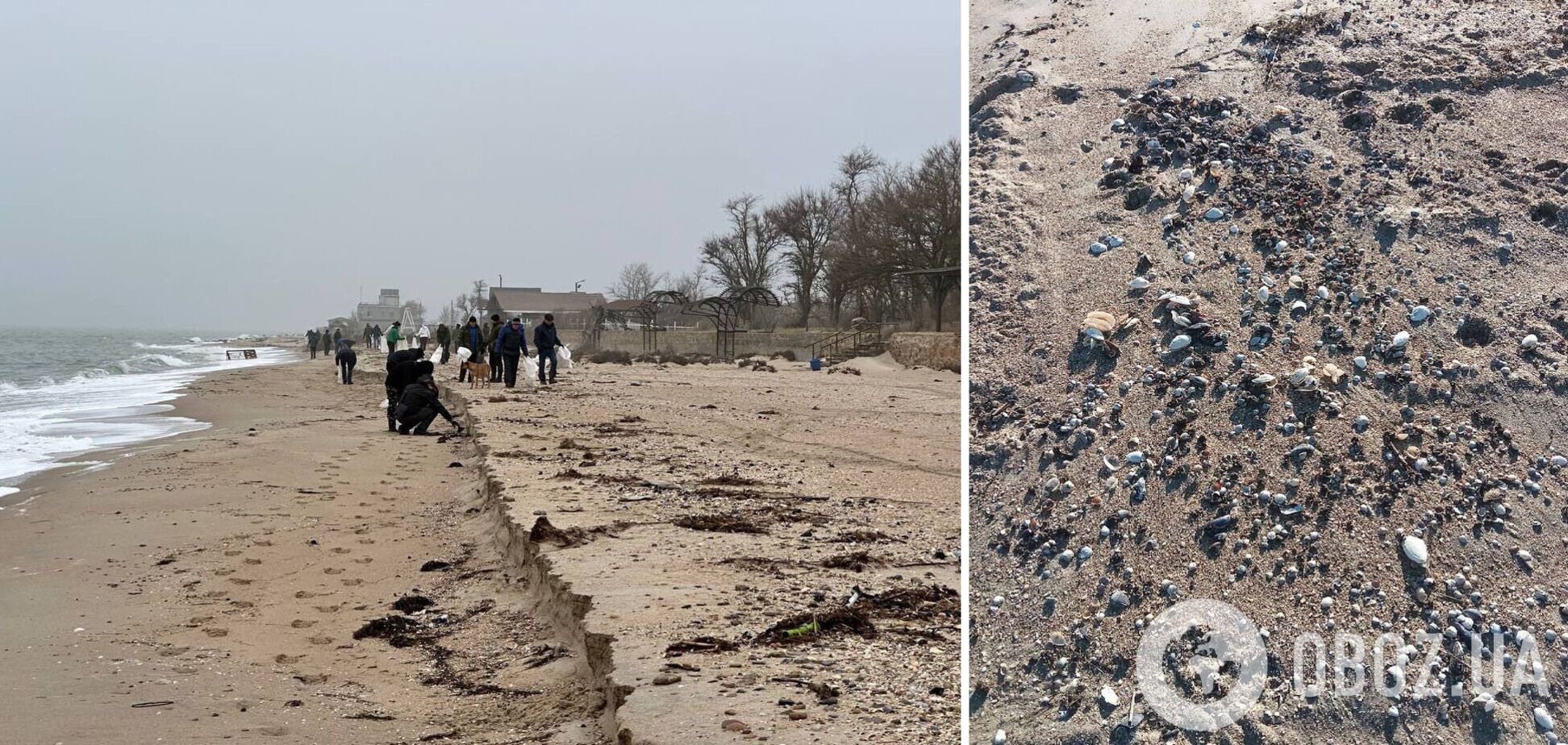 Загрязнены несколько участков: мазут из российских танкеров достался Запорожской области