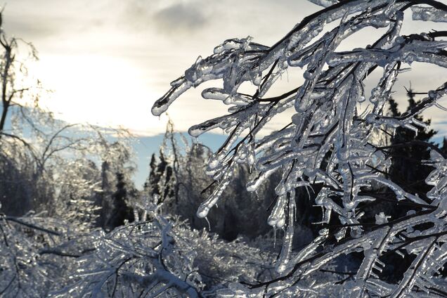 Погода принесет опасность украинцам: синоптик Диденко дала прогноз на 13 января