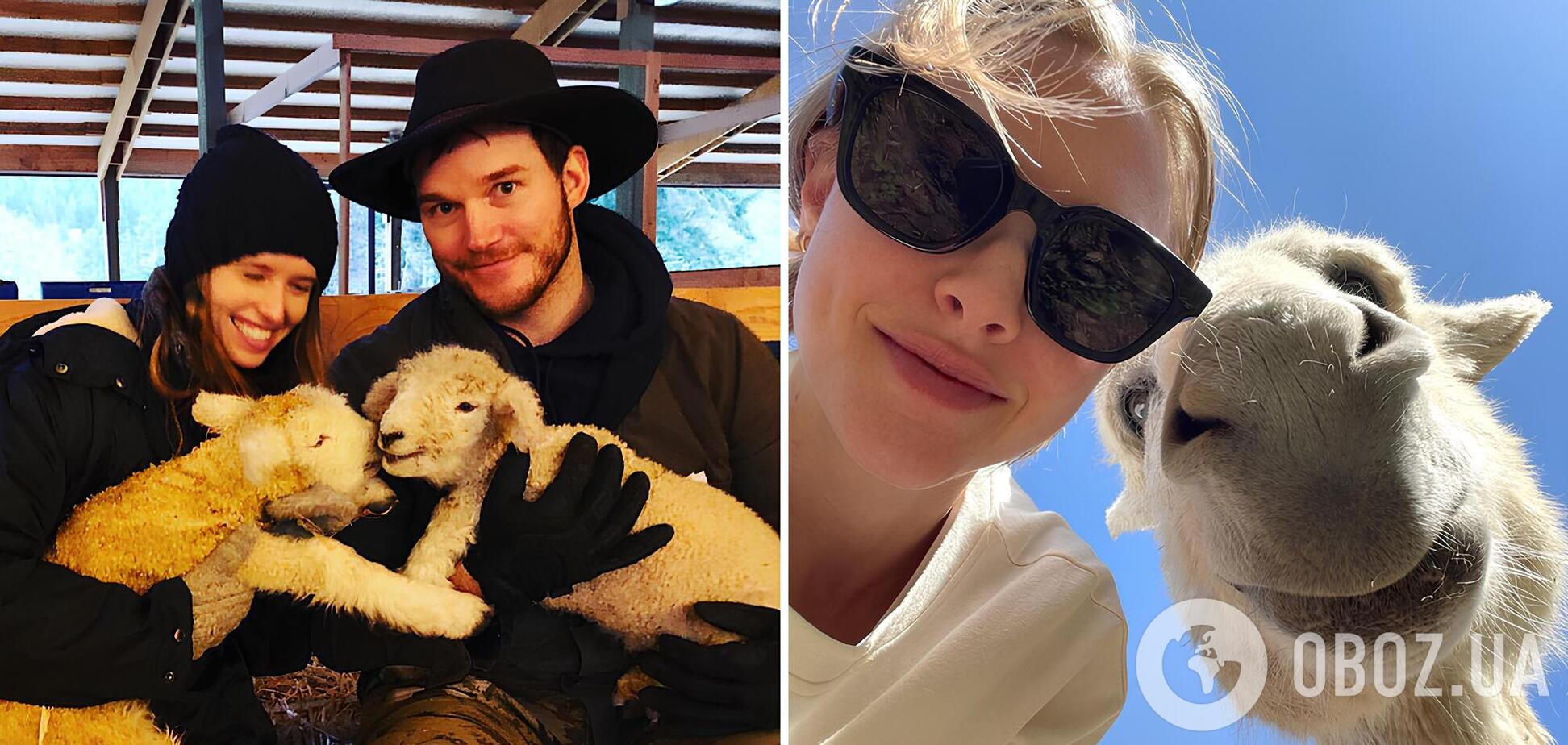 С красных дорожек на ферму: 5 звезд, которые променяли роскошь на сельское хозяйство