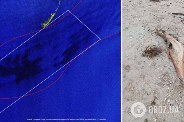 Мазут из российских танкеров добрался до берегов Азовского моря. Спутниковые фото