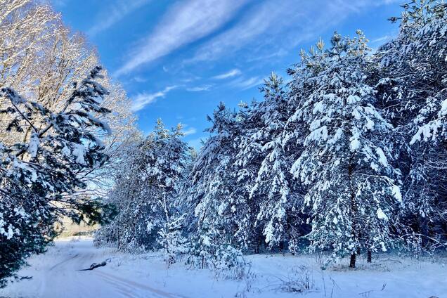 Морози чи потепління? Синоптикиня розповіла, якої погоди чекати в Україні. Карта