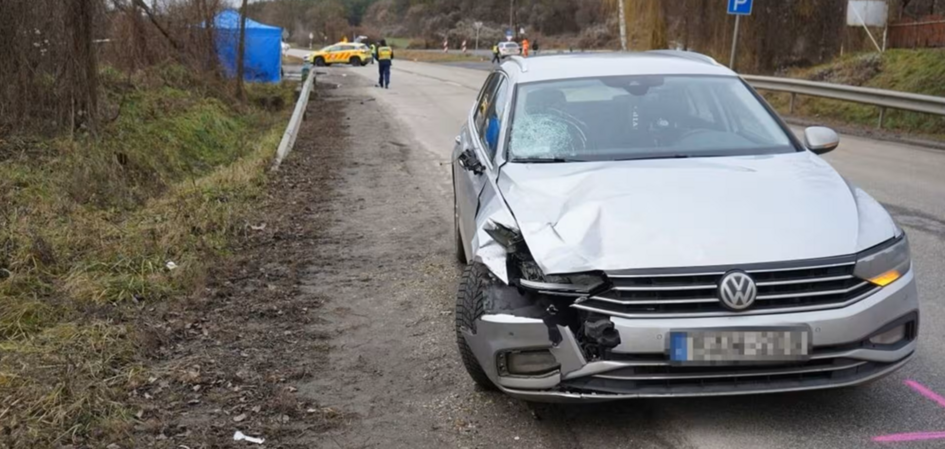 Не дійшли 100 метрів до дитсадка: в Угорщині у ДТП загинули українка та її 3-річна донька
