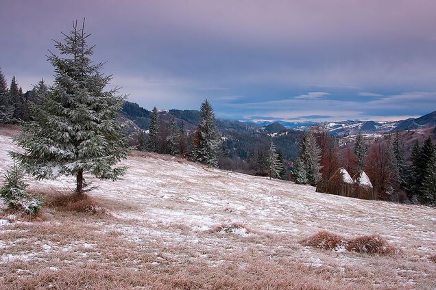 В Україні потеплішає до +11, Карпати залишаться без снігу: в Гідрометцентрі здивували прогнозом