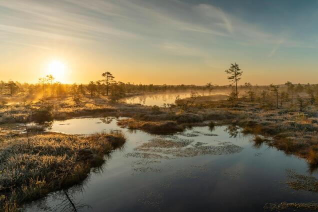 В Украину идет новое потепление: синоптик назвала даты