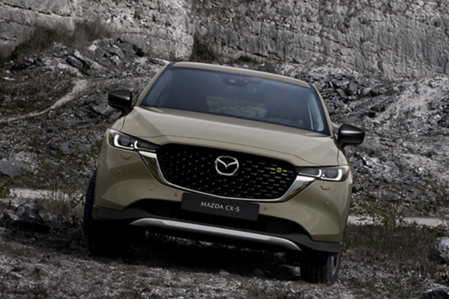 Українці масово купують нові авто на бензині