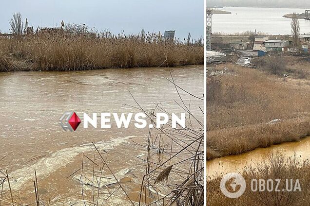 У Миколаєві через атаку РФ стався витік рослинної олії, яка потрапила у Південний Буг. Відео
