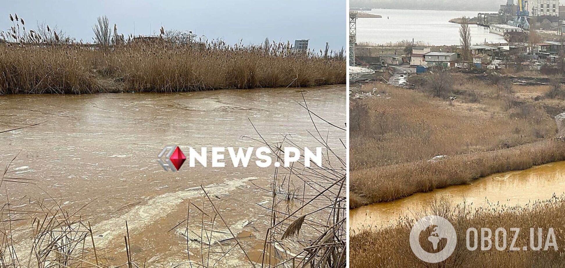 В Николаеве из-за атаки РФ произошла утечка растительного масла, которое попало в Южный Буг. Видео