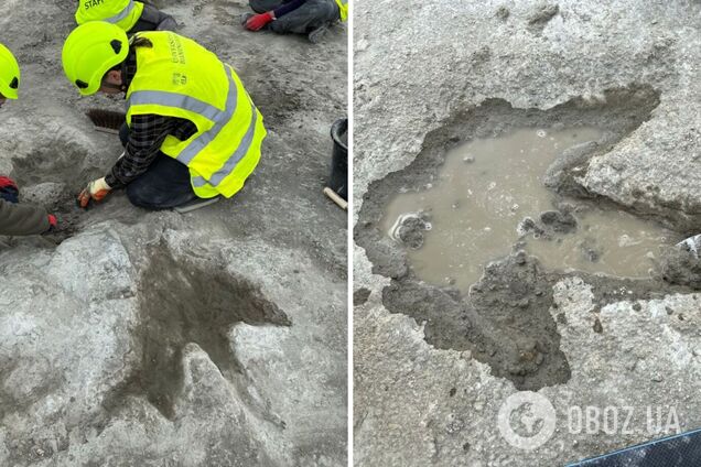 У Великій Британії знайшли ціле поле зі слідами динозаврів, які жили 166 мільйонів років тому. Фото