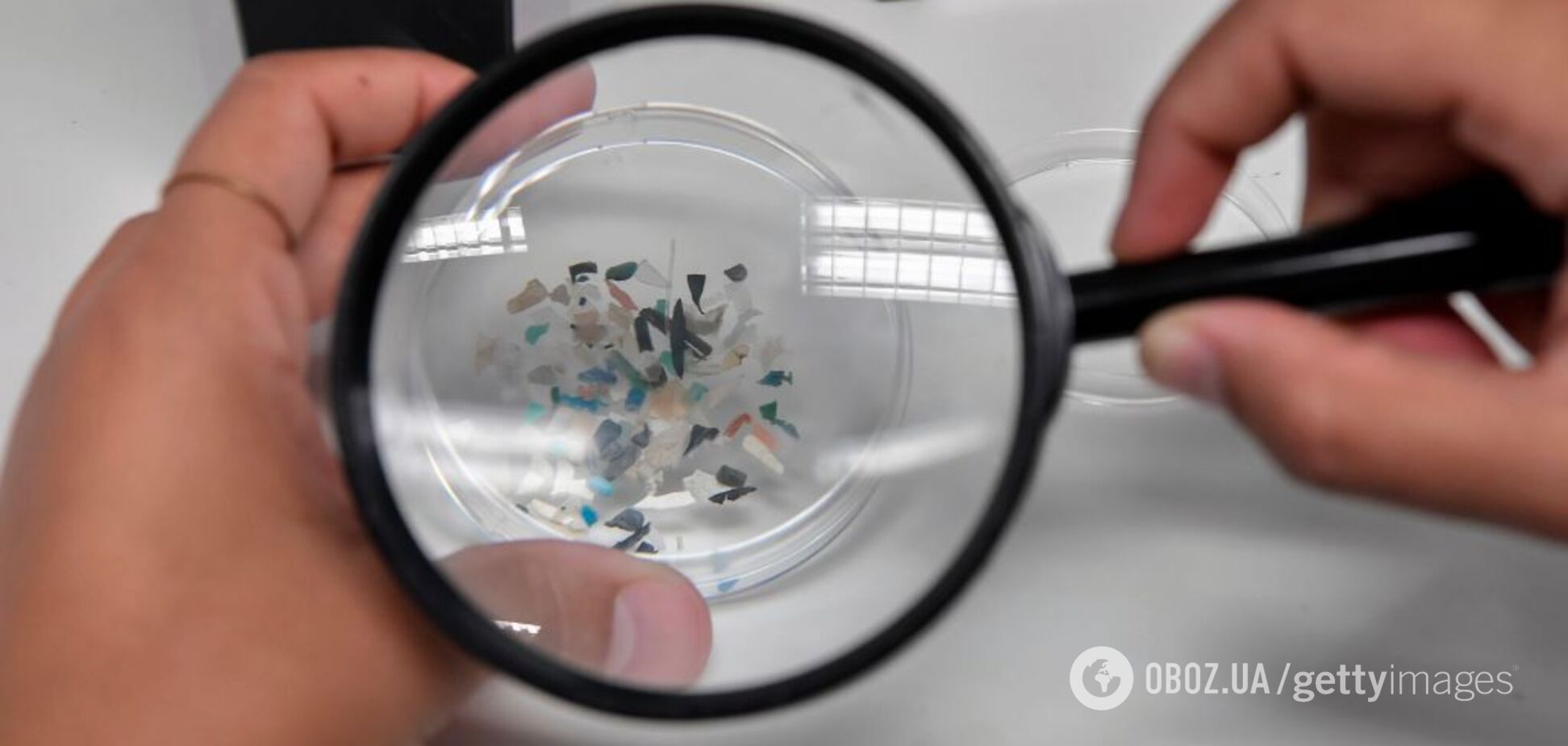 Пиво, чайні пакетики і дитячі фруктові пюре. 10 продуктів із високим вмістом мікропластику, що може викликати рак