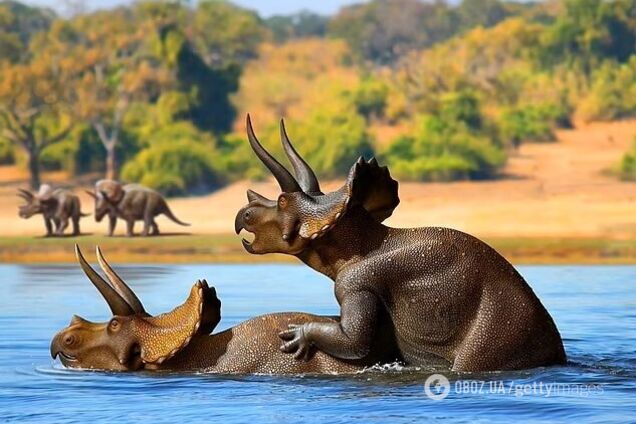 Як динозаври займалися сексом: вчені розгадали 'загадку століття'