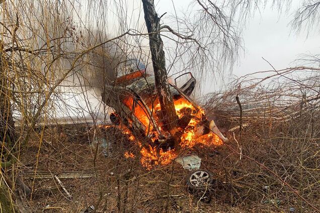 На Чернігівщині авто влетіло в дерево і спалахнуло: водій загинув на місці. Фото