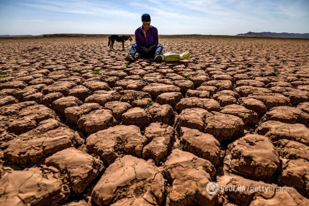 Ученые из Швейцарии предупредили об угрозе 'мегазасух' на Земле: что ждет человечество