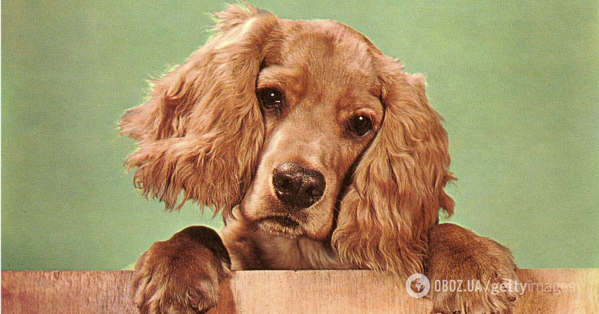 Of course! Simply share the text you want reworded, and I'll gladly assist you in crafting a unique rendition.