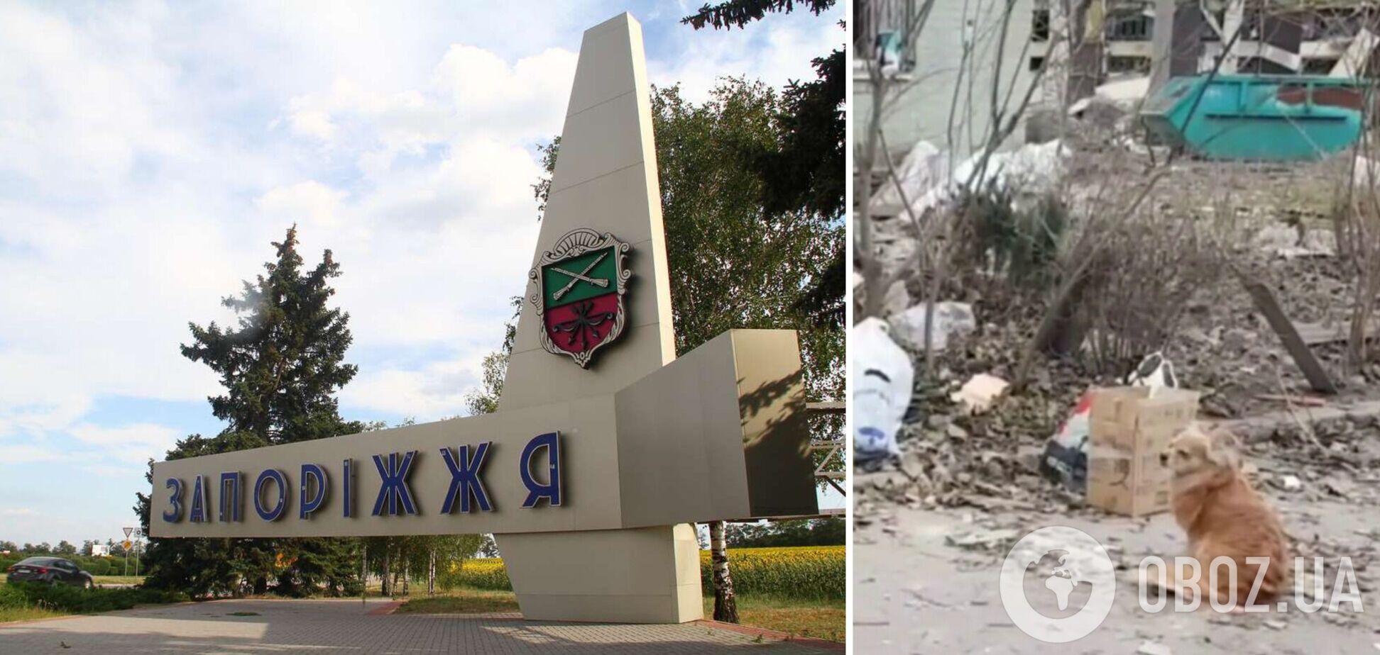 Від тіла загиблого не відходить його пес: мережу вразили кадри із Запоріжжя після удару РФ. Відео