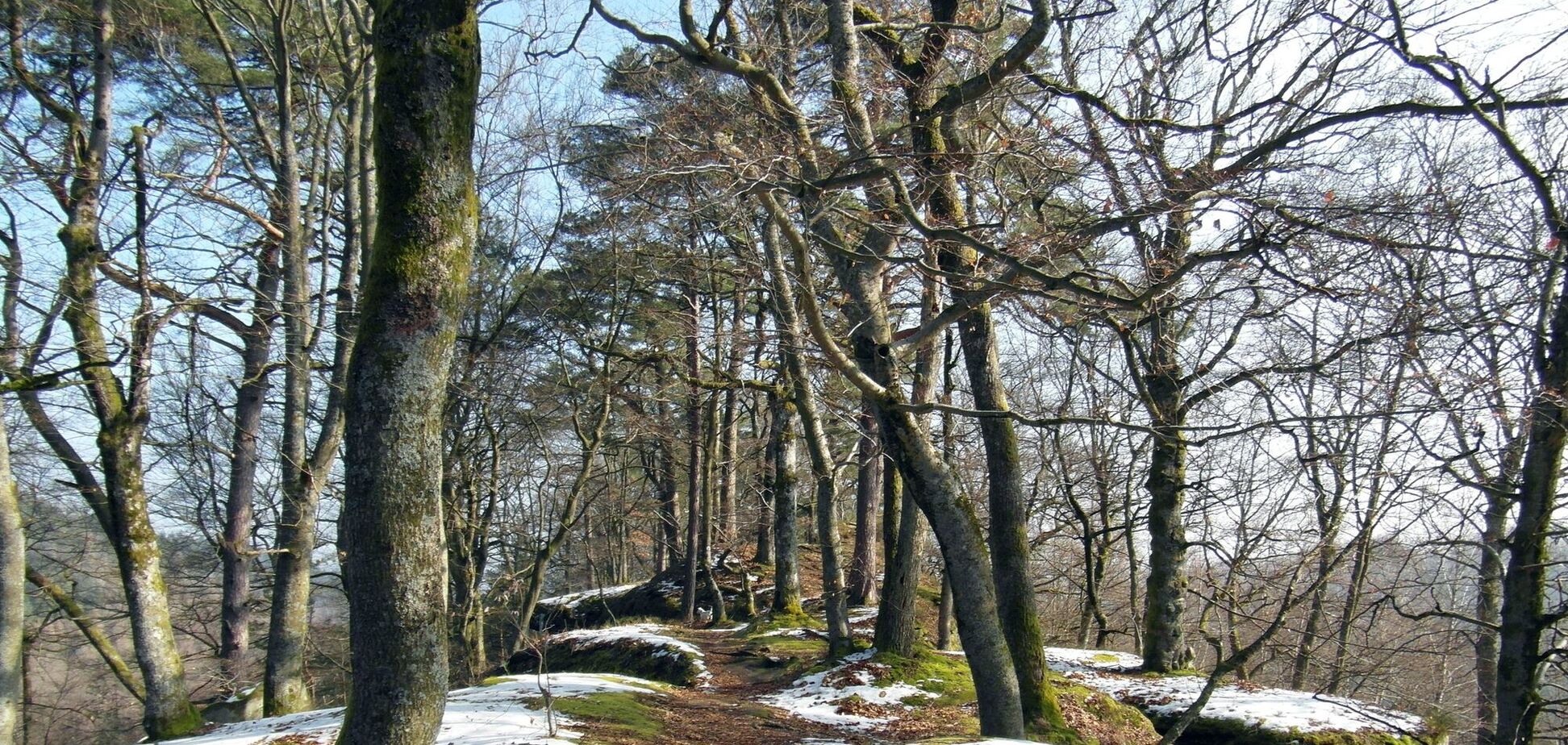 В Україну увірветься 'весняне' тепло до +15: синоптикиня розповіла, коли чекати зміни погоди. Карта