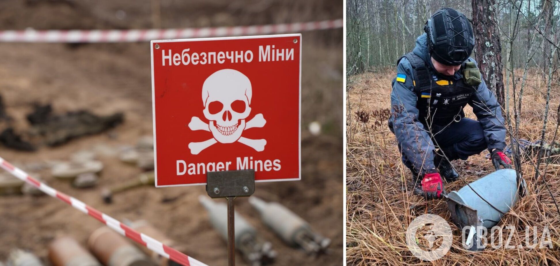 На Київщині лісники знайшли бойову частину 'Шахеда'. Подробиці та фото