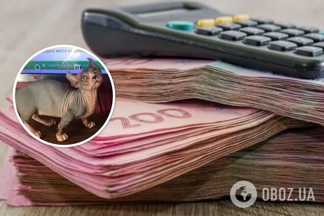 Кошеня вважається одним з найбільш рідкісних