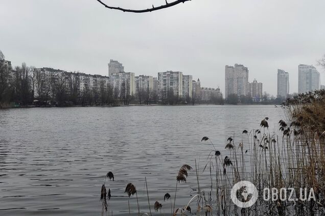 Без опадів та до +10°С: детальний прогноз погоди по Київщині на 27 січня