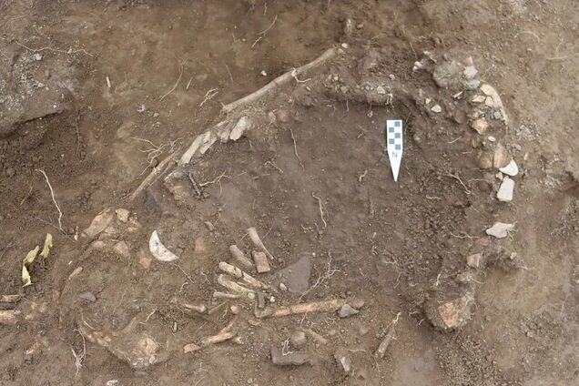 Поховання вагітної жінки знайшли в Еквадорі: її принесли в жертву невідомому божеству