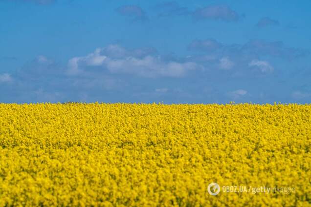 Почему небо голубое? Ответ сложнее, чем вы думаете