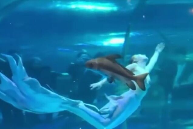 На російську аніматорку-'русалку' в Китаї напала гігантська риба. Відео