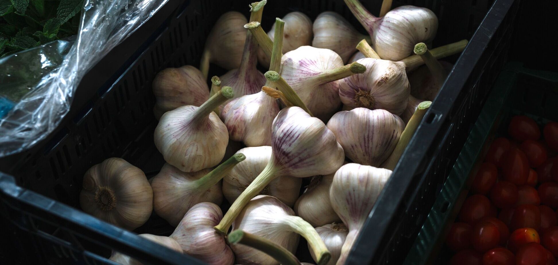 Скільки коштує часник в Україні