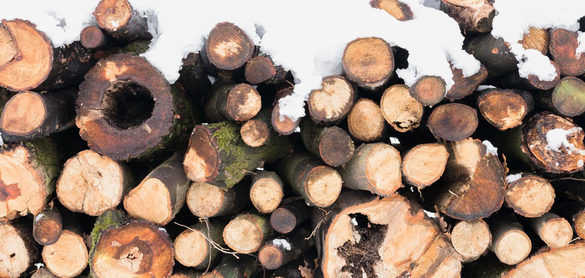 Как выплачивают субсидию на дрова