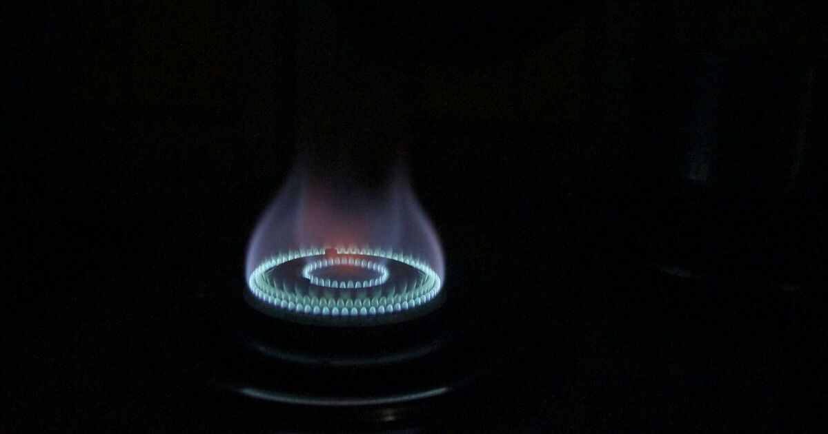 Of course! Please provide the text you want me to rephrase, and I'll create a distinctive version for you.