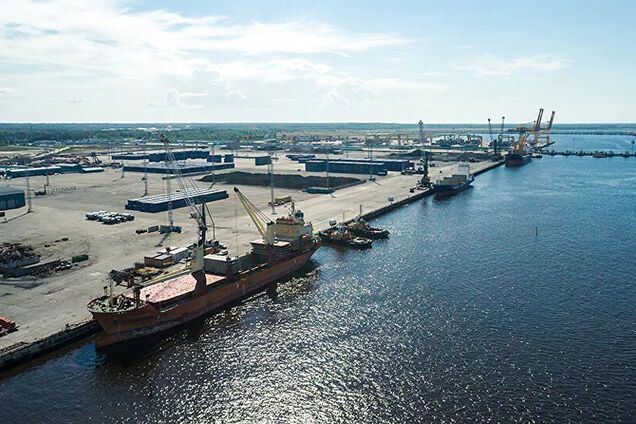 Атаку на термінал Усть-Луга в Росії здійснили дрони СБУ: з'явилися нові деталі спецоперації