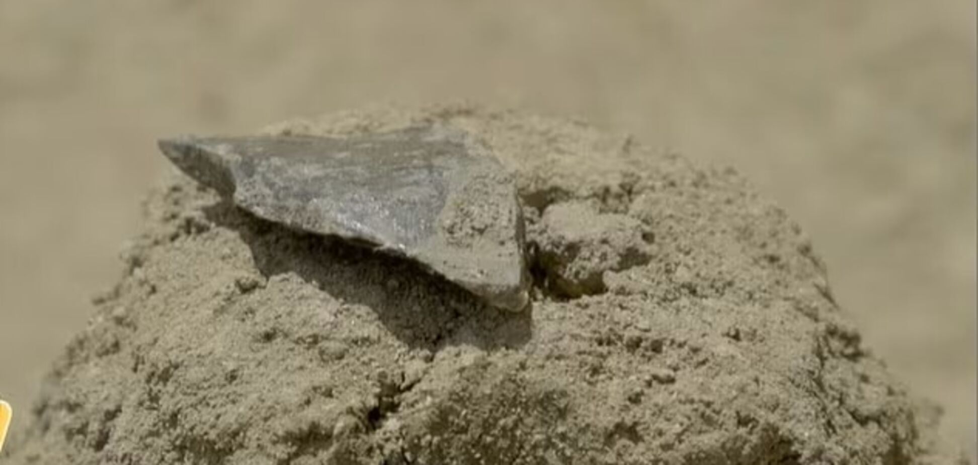 Археологи нашли орудие труда возрастом 3 миллиона лет на месте, которое называют 'колыбелью человечества'