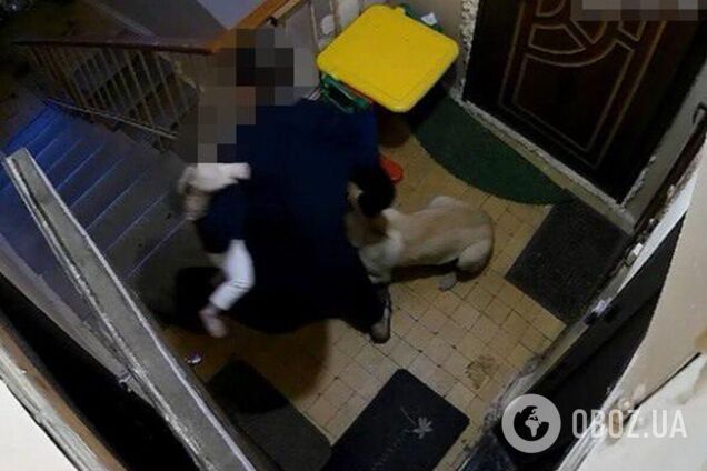 У Києві чоловік, тримаючи дитину на руках, вбив собаку: злочин зафіксували камери. Подробиці, фото й відео