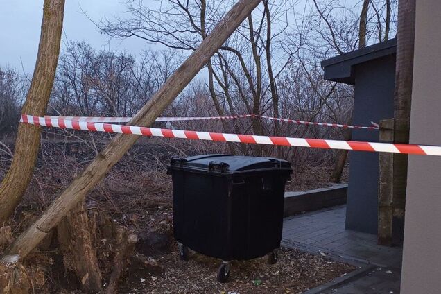 Запхала немовля в пакет і викинула у сміттєвий бак: на Черкащині викрили породіллю, яка позбулася дитини