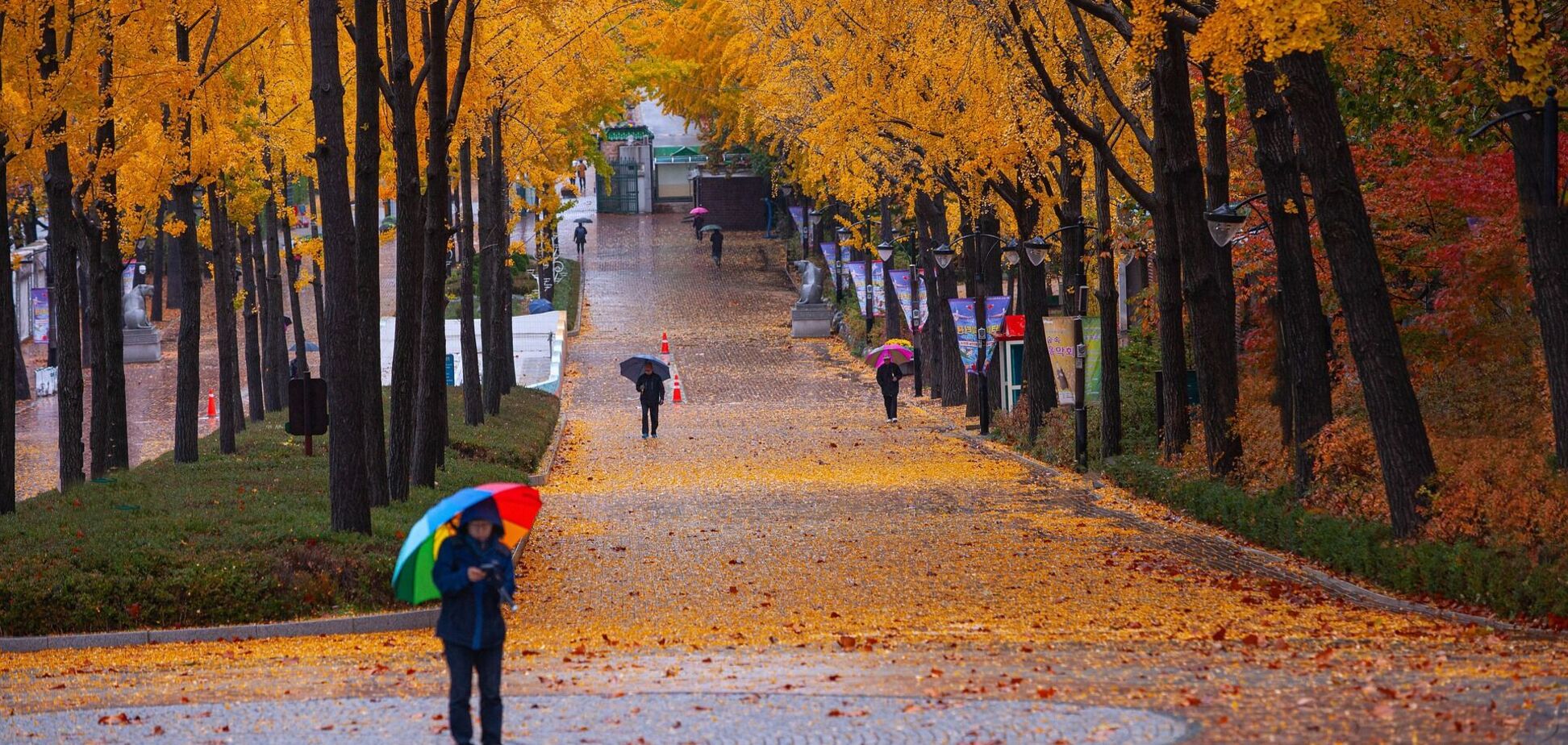 Прекратятся ли дожди на выходных в Украине: синоптики дали прогноз. Карта