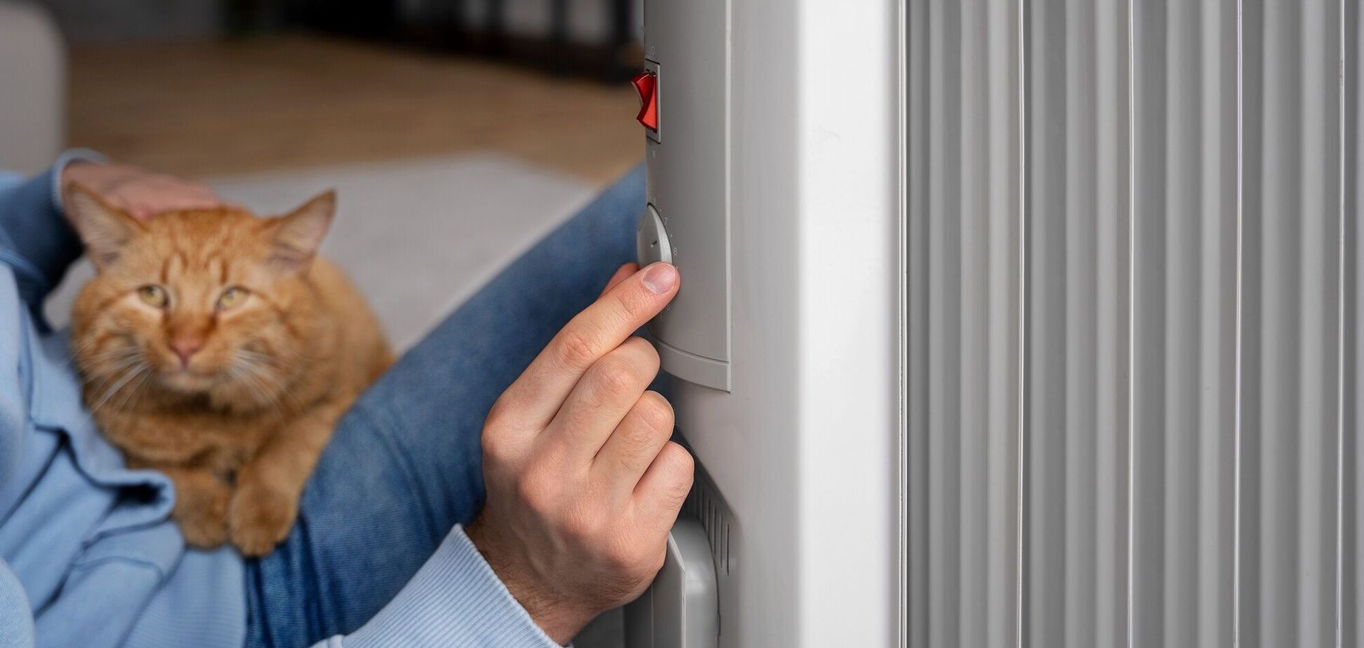 Иллюстрация - женщина с котом на руках настраивает электрообогреватель