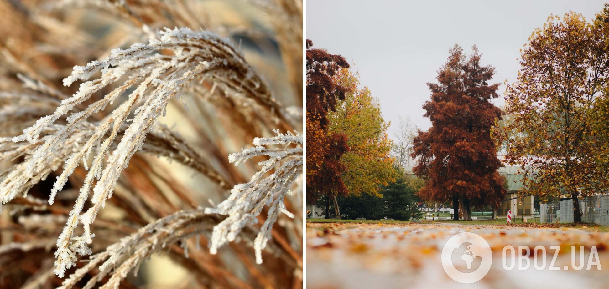 В Україну насуваються заморозки: синоптики попередили про небезпечні метеорологічні явища у середу