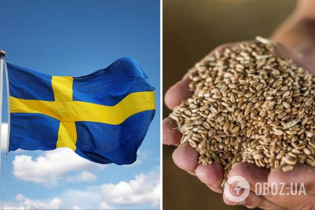 Швеция готовится к войне: на севере страны создали первые аварийные зернохранилища