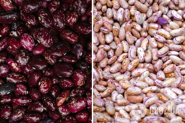 Як вибрати квасолю